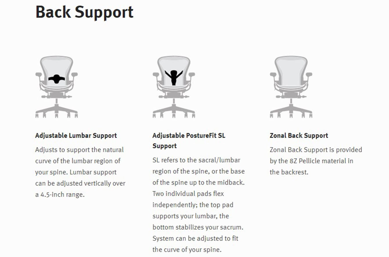 Aeron Collection Options - Back Support Graphic