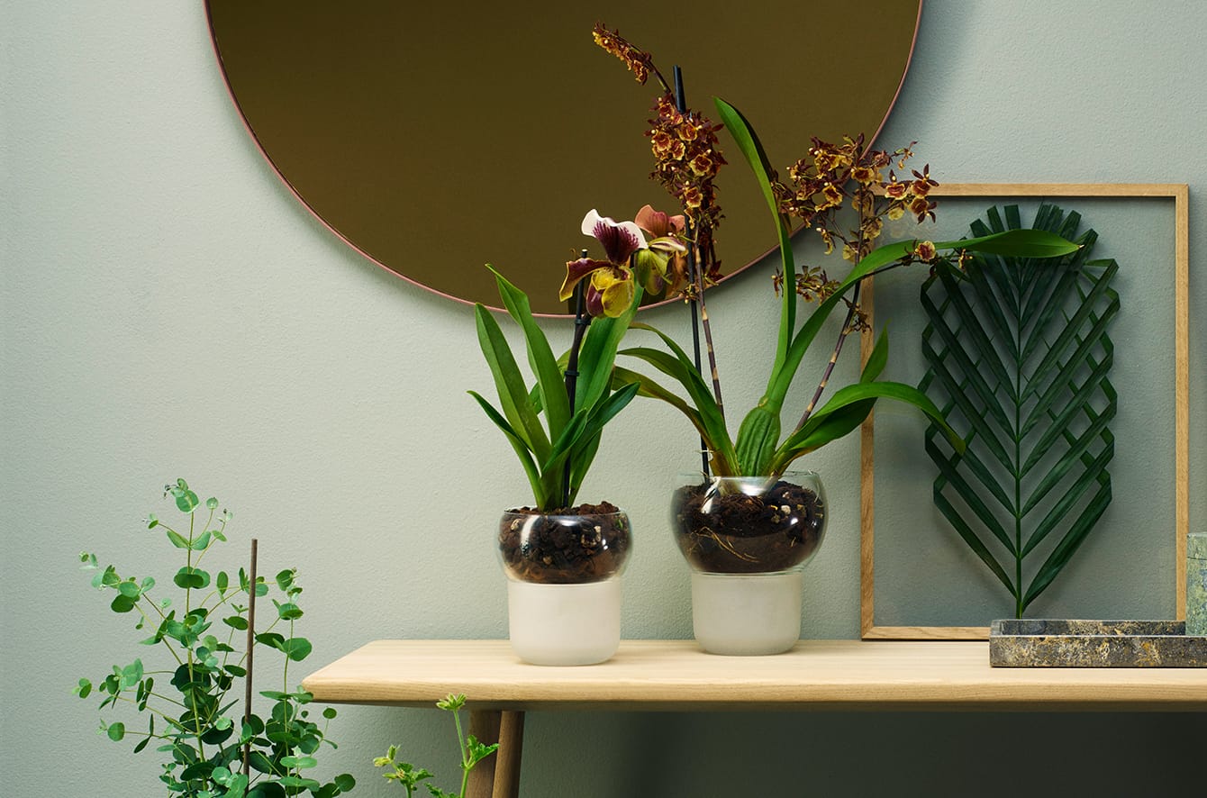 Self Watering Orchid Pot by Eva Solo