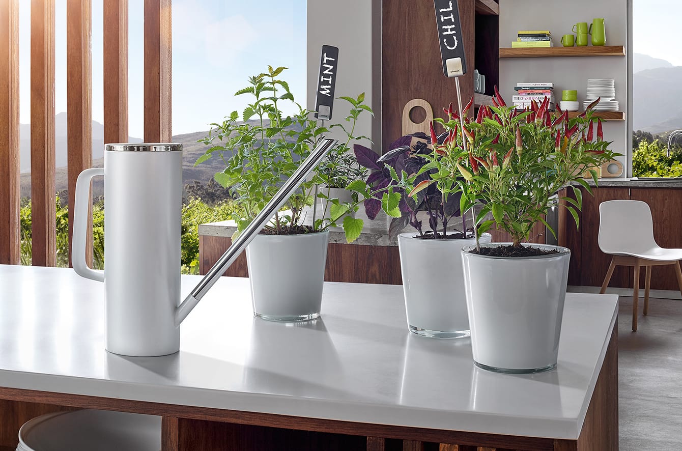 Limbo Watering Can by Blomus