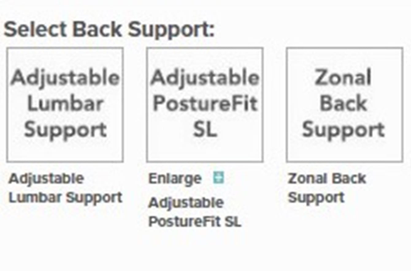 Aeron Collection Options - Back Support